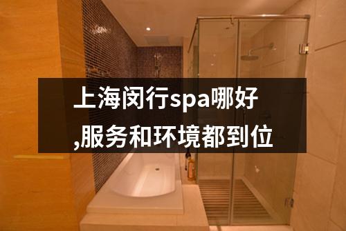 上海闵行spa哪好,服务和环境都到位