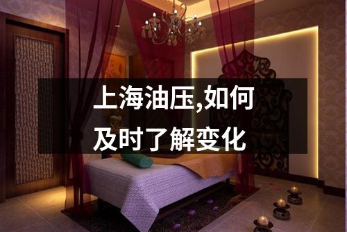 上海油压,如何及时了解变化