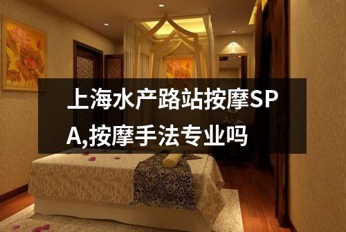 上海水产路站按摩SPA,按摩手法专业吗