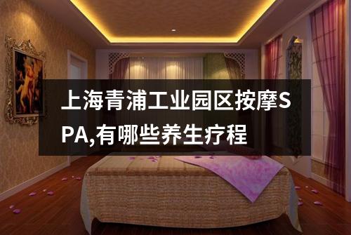 上海青浦工业园区按摩SPA,有哪些养生疗程
