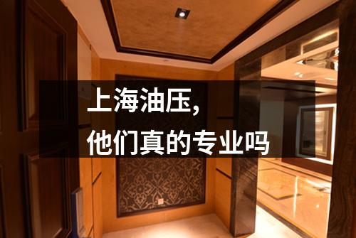 上海油压,  他们真的专业吗