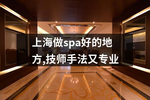 上海做spa好的地方,技师手法又专业