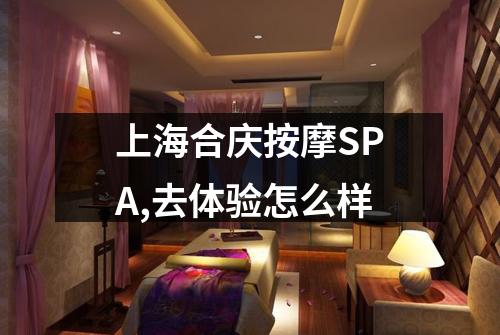 上海合庆按摩SPA,去体验怎么样