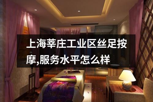 上海莘庄工业区丝足按摩,服务水平怎么样