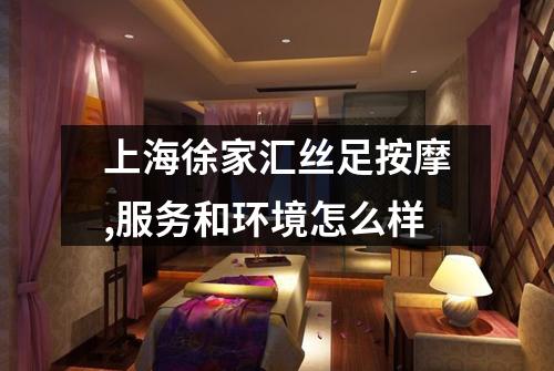 上海徐家汇丝足按摩,服务和环境怎么样