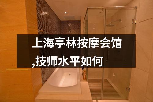 上海亭林按摩会馆,技师水平如何