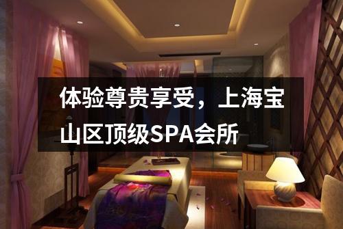 体验尊贵享受，上海宝山区顶级SPA会所