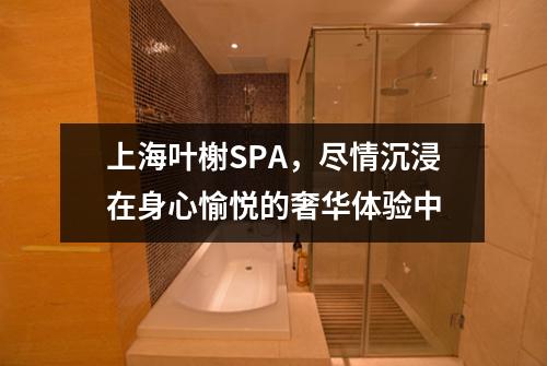 上海叶榭SPA，尽情沉浸在身心愉悦的奢华体验中