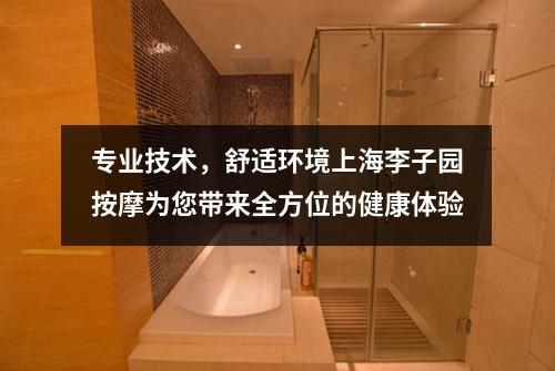 专业技术，舒适环境上海李子园按摩为您带来全方位的健康体验