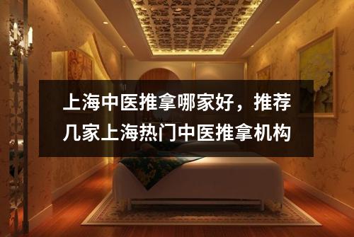 上海中医推拿哪家好，推荐几家上海热门中医推拿机构