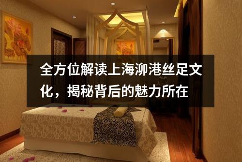 全方位解读上海泖港丝足文化，揭秘背后的魅力所在