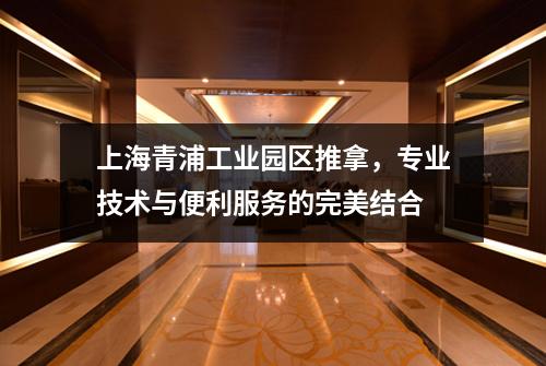上海青浦工业园区推拿，专业技术与便利服务的完美结合