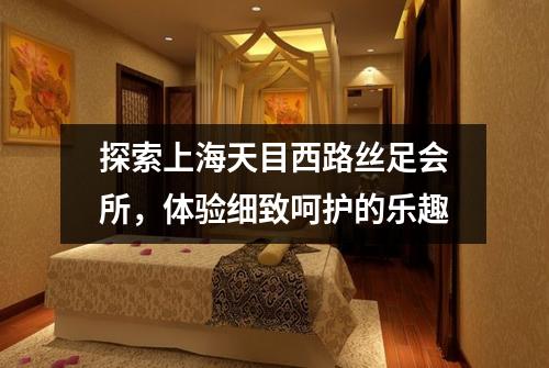 探索上海天目西路丝足会所，体验细致呵护的乐趣