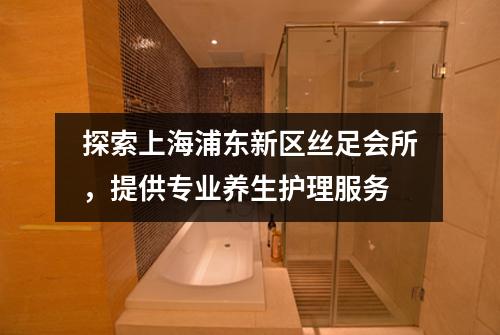 探索上海浦东新区丝足会所，提供专业养生护理服务