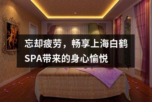 忘却疲劳，畅享上海白鹤SPA带来的身心愉悦