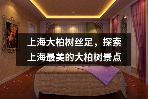 上海大柏树丝足，探索上海最美的大柏树景点