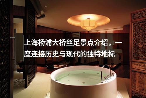 上海杨浦大桥丝足景点介绍，一座连接历史与现代的独特地标
