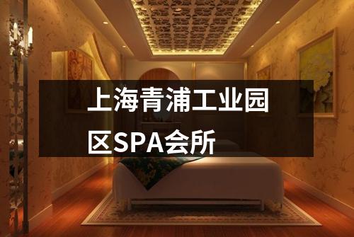 上海青浦工业园区SPA会所