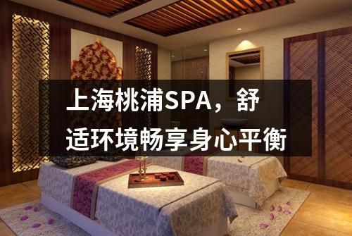 上海桃浦SPA，舒适环境畅享身心平衡