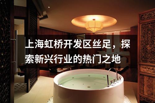 上海虹桥开发区丝足，探索新兴行业的热门之地