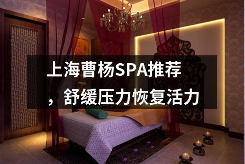 上海曹杨SPA推荐，舒缓压力恢复活力