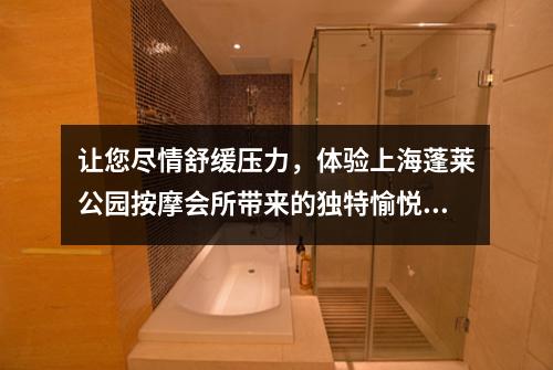 让您尽情舒缓压力，体验上海蓬莱公园按摩会所带来的独特愉悦感