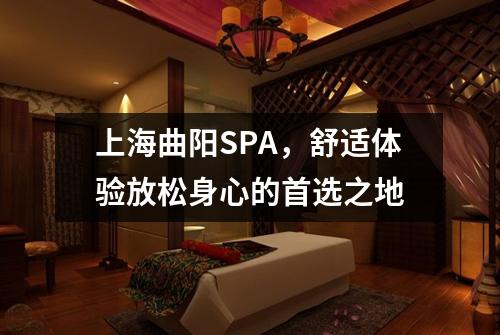 上海曲阳SPA，舒适体验放松身心的首选之地