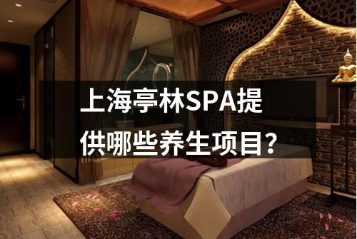 上海亭林SPA提供哪些养生项目？