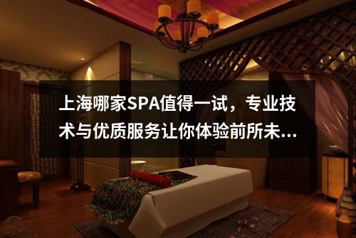 上海哪家SPA值得一试，专业技术与优质服务让你体验前所未有的放松