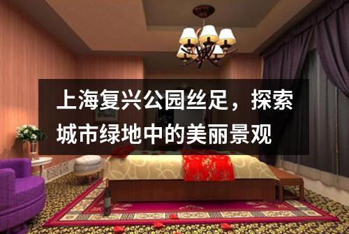上海复兴公园丝足，探索城市绿地中的美丽景观