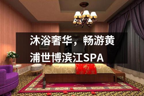 沐浴奢华，畅游黄浦世博滨江SPA