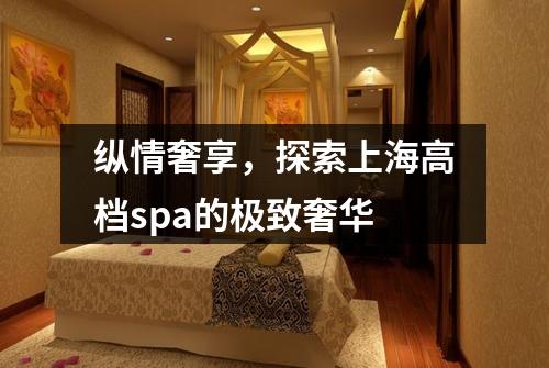 纵情奢享，探索上海高档spa的极致奢华