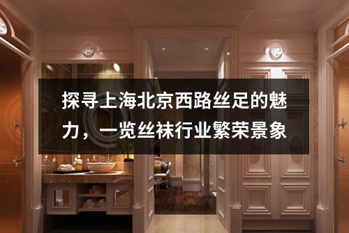 探寻上海北京西路丝足的魅力，一览丝袜行业繁荣景象