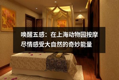 唤醒五感：在上海动物园按摩尽情感受大自然的奇妙能量