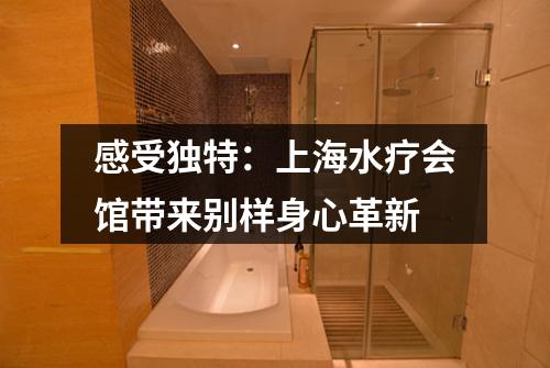 感受独特：上海水疗会馆带来别样身心革新