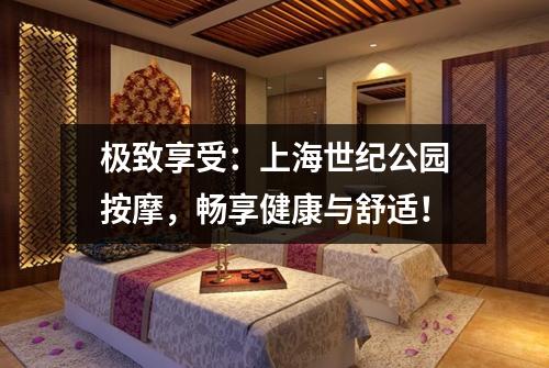 极致享受：上海世纪公园按摩，畅享健康与舒适！