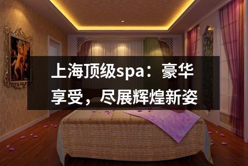 上海顶级spa：豪华享受，尽展辉煌新姿