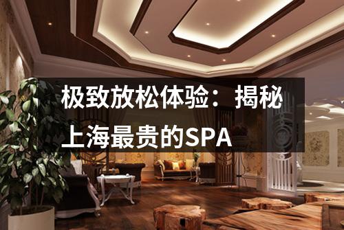 极致放松体验：揭秘上海最贵的SPA