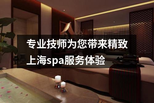 专业技师为您带来精致上海spa服务体验