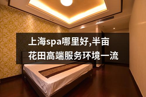 上海spa哪里好,半亩花田高端服务环境一流