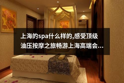 上海的spa什么样的,感受顶级油压按摩之旅畅游上海高端会所