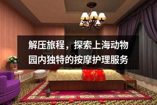 解压旅程，探索上海动物园内独特的按摩护理服务