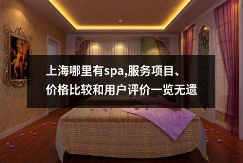上海哪里有spa,服务项目、价格比较和用户评价一览无遗