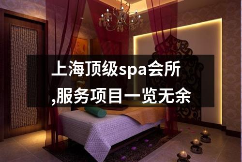 上海顶级spa会所,服务项目一览无余