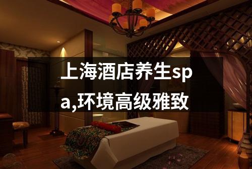 上海酒店养生spa,环境高级雅致