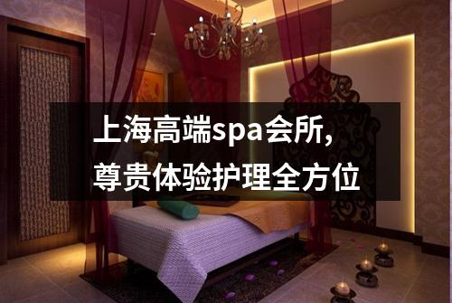 上海高端spa会所,尊贵体验护理全方位