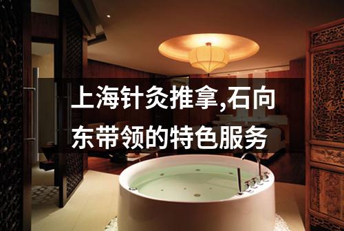上海针灸推拿,石向东带领的特色服务