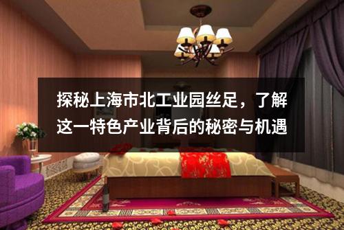探秘上海市北工业园丝足，了解这一特色产业背后的秘密与机遇