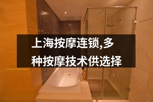 上海按摩连锁,多种按摩技术供选择