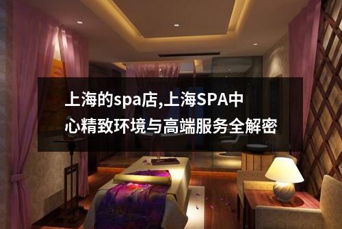 上海的spa店,上海SPA中心精致环境与高端服务全解密